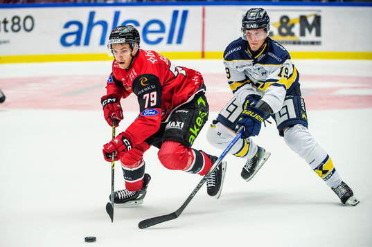 Malmö Redhawks Jakub Galvas mot HV71s Henrik Borgström