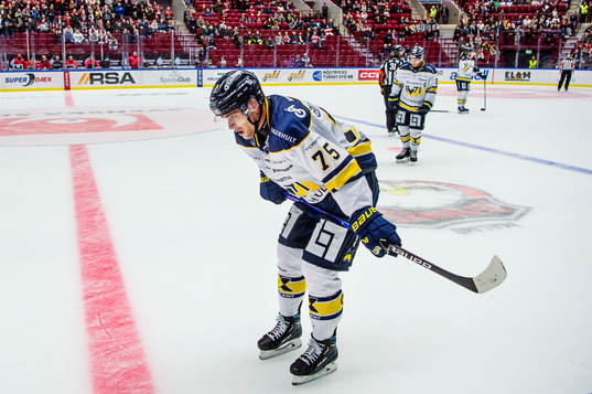 HV71s Radan Lenc deppar