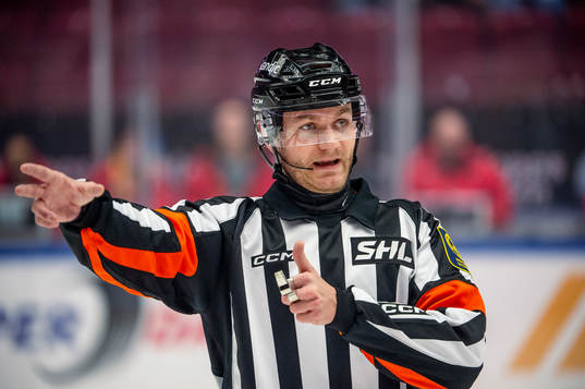 Domare Daniel Eriksson