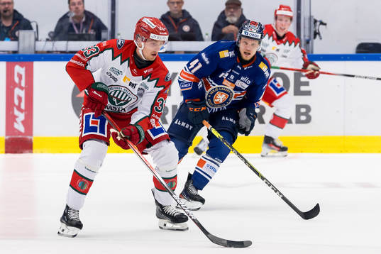 Frölundas Linus Högberg och Växjös Ludvig Nilsson