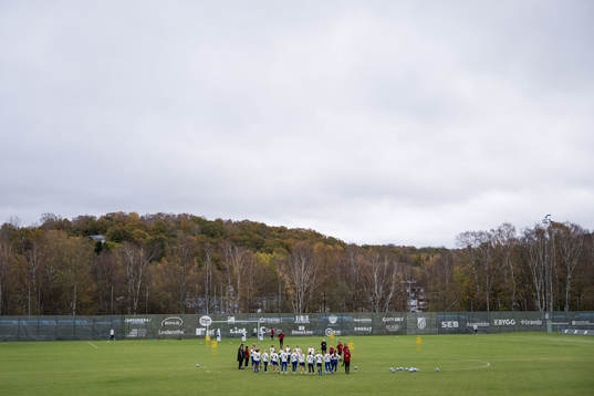 Players of Sweden gather