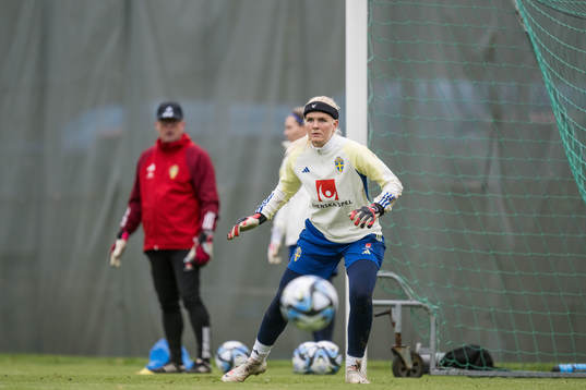 Goalkeeper Emma Holmgren of Sweden