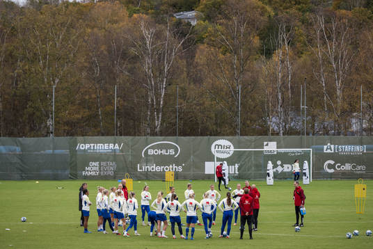 Players of Sweden gather