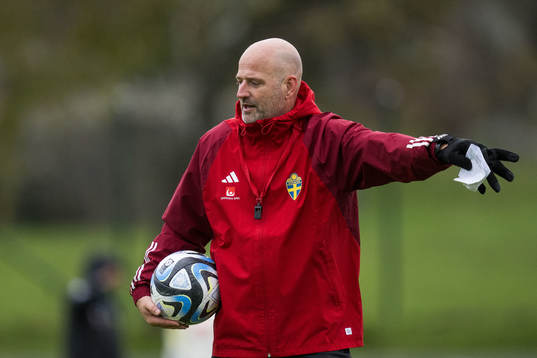 Assistant coach Magnus Wikman of Sweden