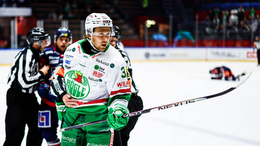 Rögles Michael Kapla
