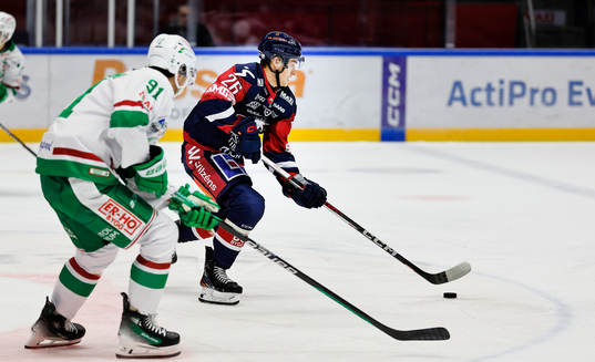 Linköpings Fabian Wagner