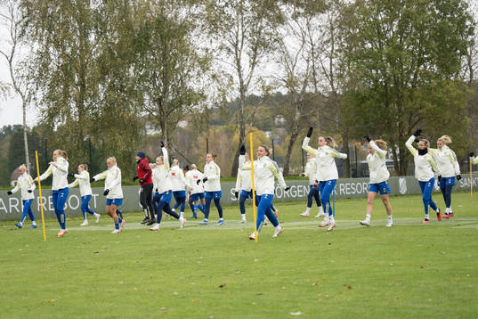 The Swedish team