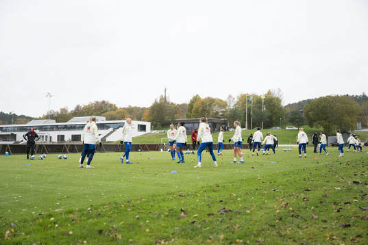 The Swedish team