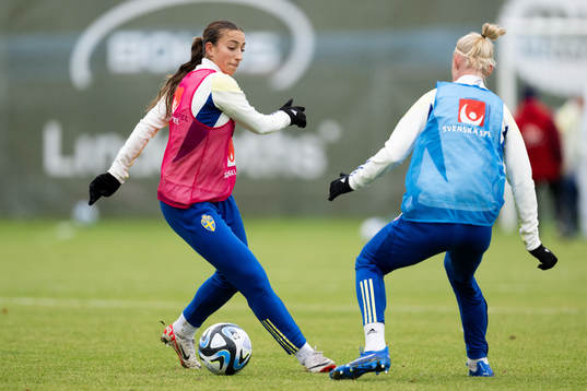 Rosa Kafaji of Sweden