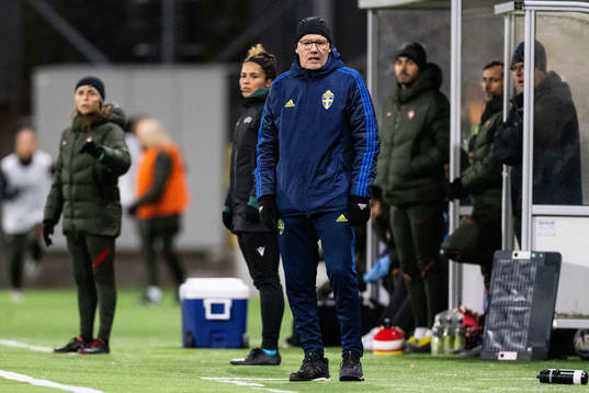Head coach Anders Bengtsson of Sweden