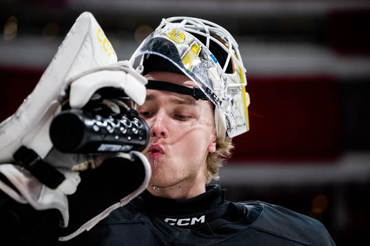AIKs målvakt Tobias Normann