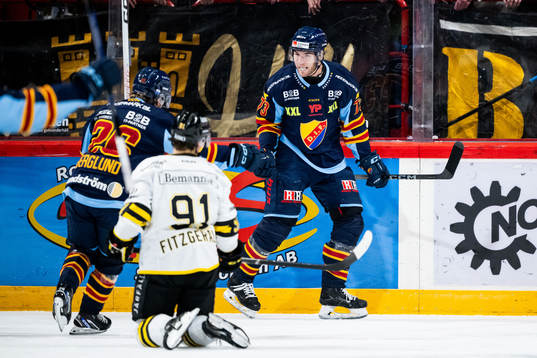 Djurgårdens Anton Gradin jublar
