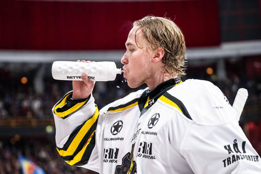AIKs målvakt Tobias Normann