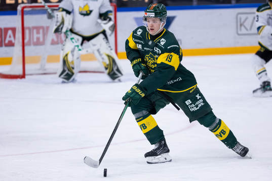 Björklövens Liam Dower Nilsson