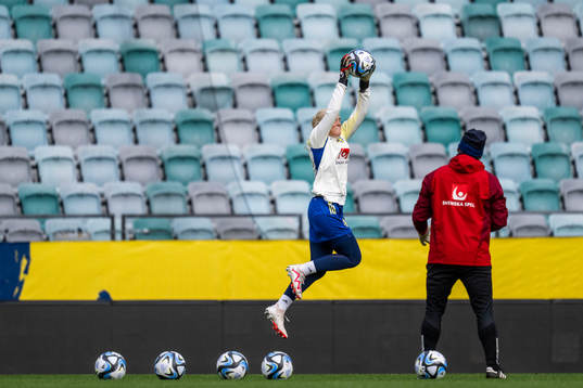 Goalkeeper Emma Holmgren of the Swedish women's national
