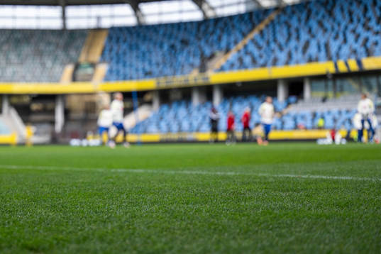 Grass of the Swedish women's national football team