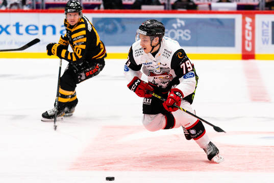Malmö Redhawks Jakub Galvas och Skellefteås Anton