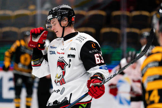Malmö Redhawks Fredrik Händemark deppar