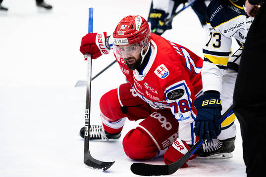 Timrås Robin Hanzl
