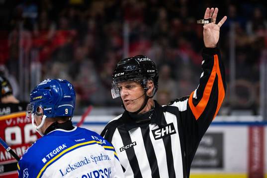 Domare Mikael Nord