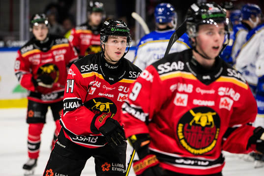 Luleå Hockeys Jonas Berglund deppar