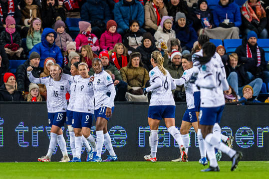 Players of France celebrates