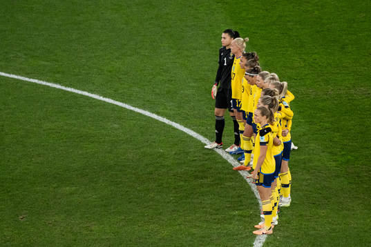 The players of Sweden