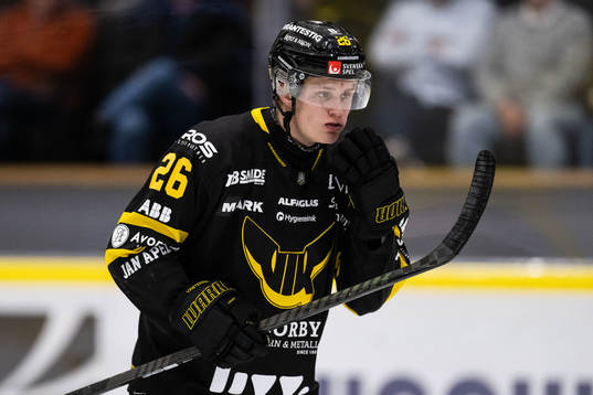 Västerås Elias Pettersson