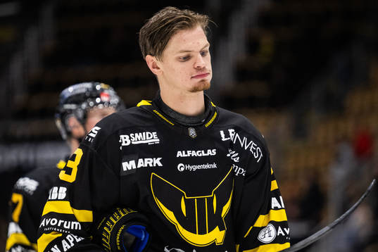 Västerås Adam Hofbauer deppar