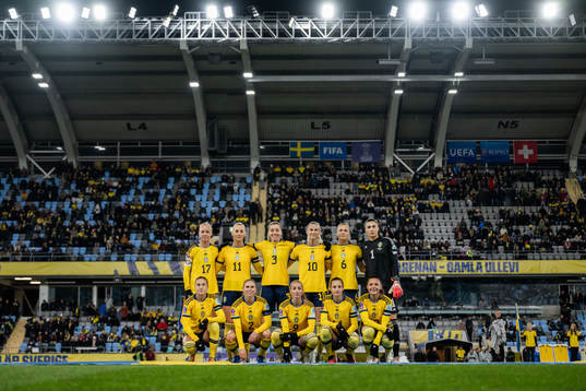 The players of of Sweden