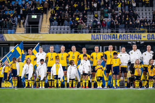Players of Sweden