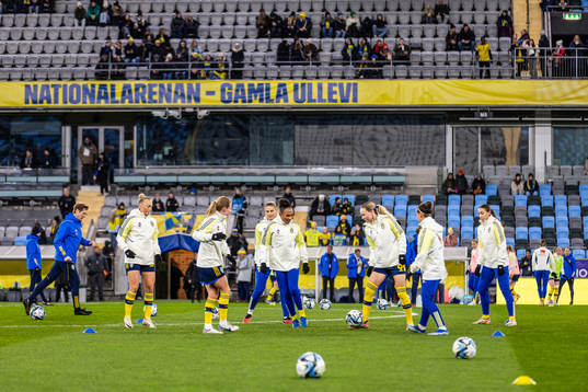 Players of Sweden