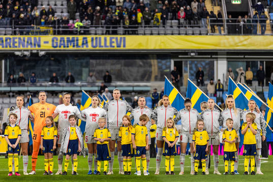 Players of Switzerland at line up