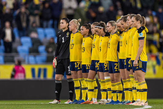 The players of Sweden