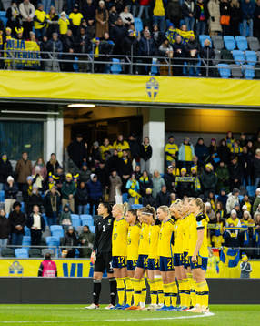 The players of Sweden