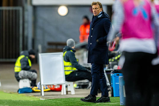 Hervé Renard, head coach of France