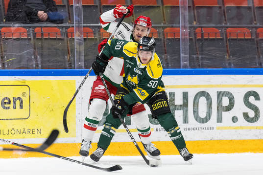 Östersunds Georgs Golovkovs