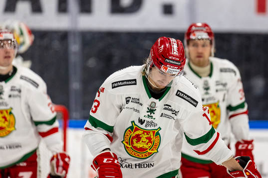 Moras Fabian Ilestedt deppar