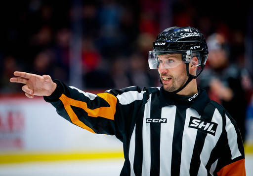 Domare Johan Magnusson