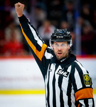 Domare Johan Magnusson
