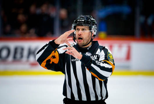 Domare Johan Magnusson