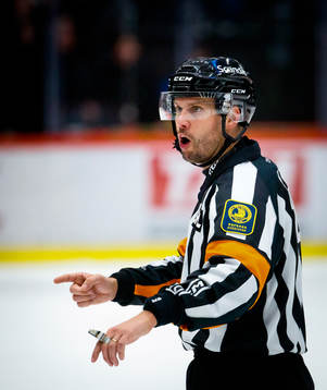 Domare Johan Magnusson