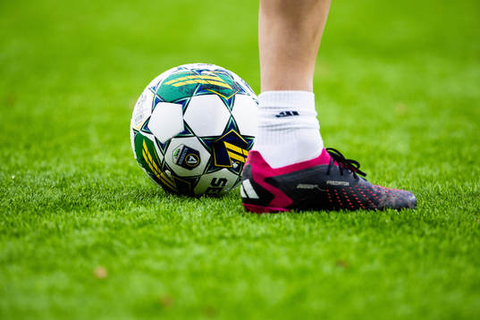 En fotboll