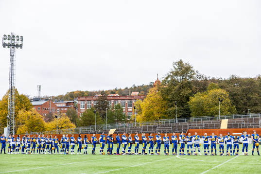 Players of Sweden