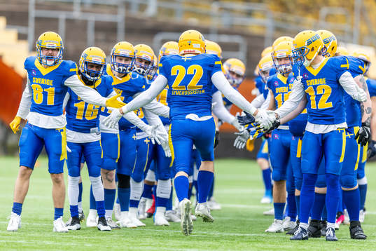 Players of Sweden