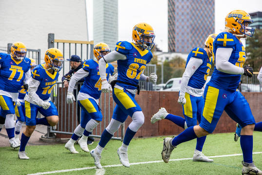 Players of Sweden