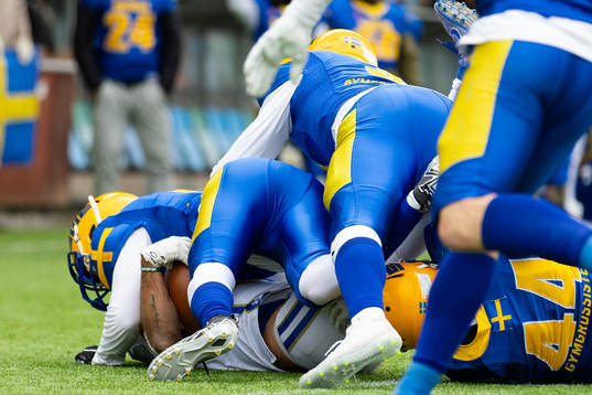 Players of Sweden in defense