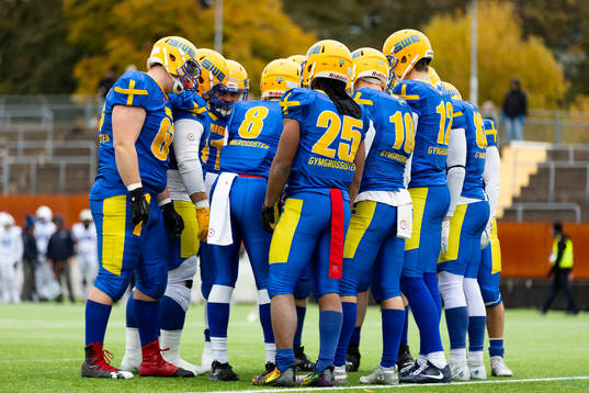 Players of Sweden