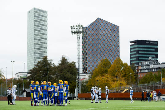 Players of Sweden