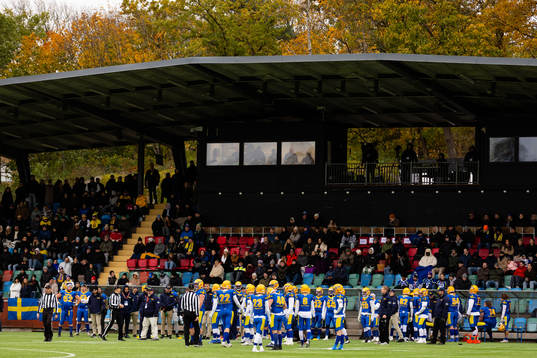 Players of Sweden